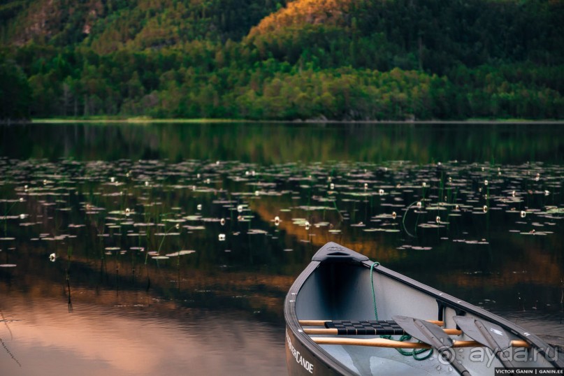 Автостопом через всю Норвегию: походная тропа Фьордрута