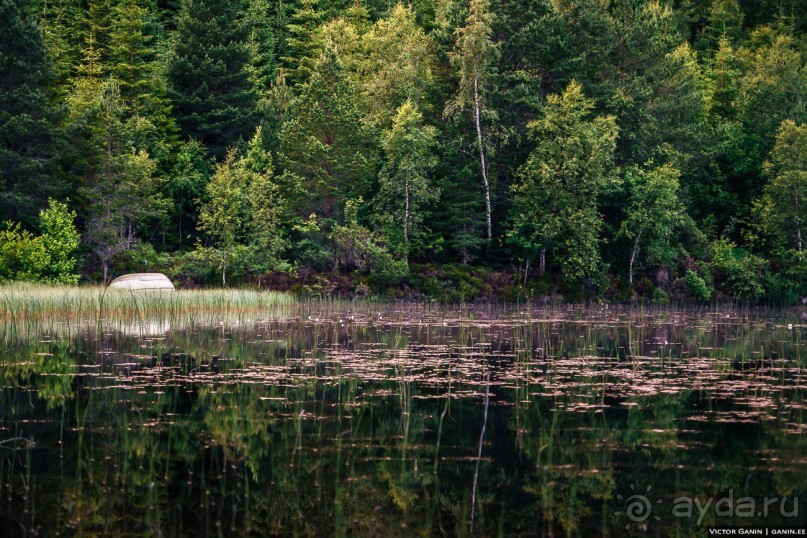 Автостопом через всю Норвегию: походная тропа Фьордрута