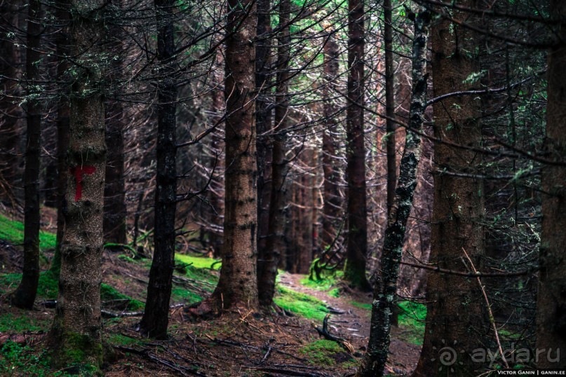 Автостопом через всю Норвегию: походная тропа Фьордрута