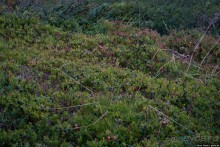 Вся информация о походах и туристических хижинах в Норвегии