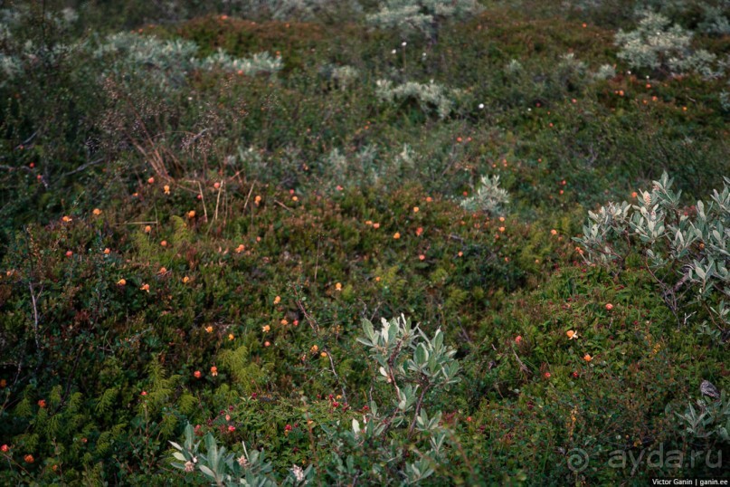 Вся информация о походах и туристических хижинах в Норвегии