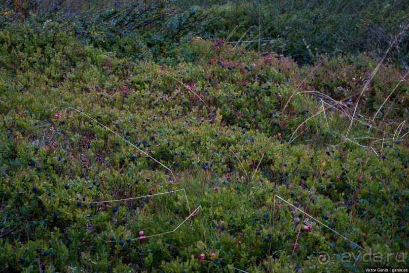 Вся информация о походах и туристических хижинах в Норвегии