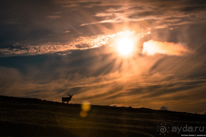 Нордкап. Самый длинный день на краю света