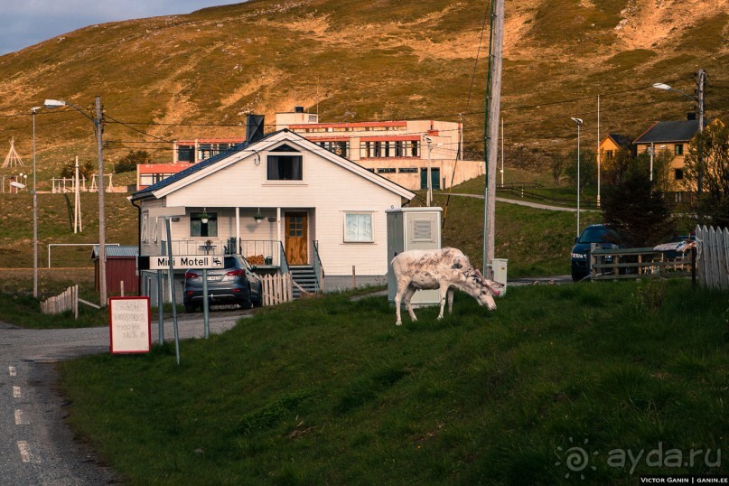 Нордкап. Самый длинный день на краю света