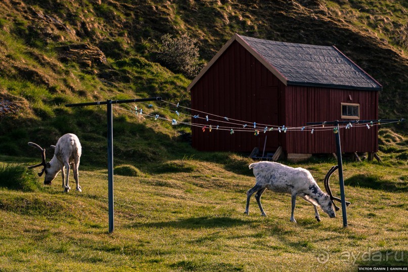 Нордкап. Самый длинный день на краю света