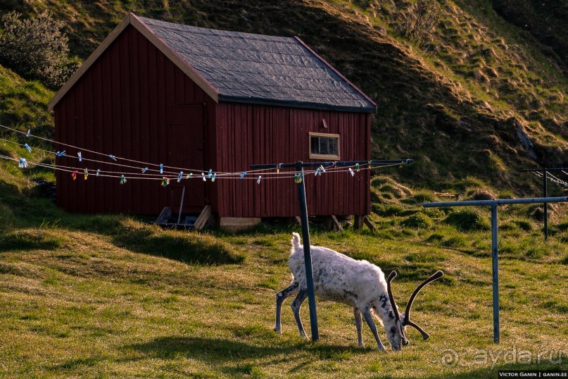 Нордкап. Самый длинный день на краю света