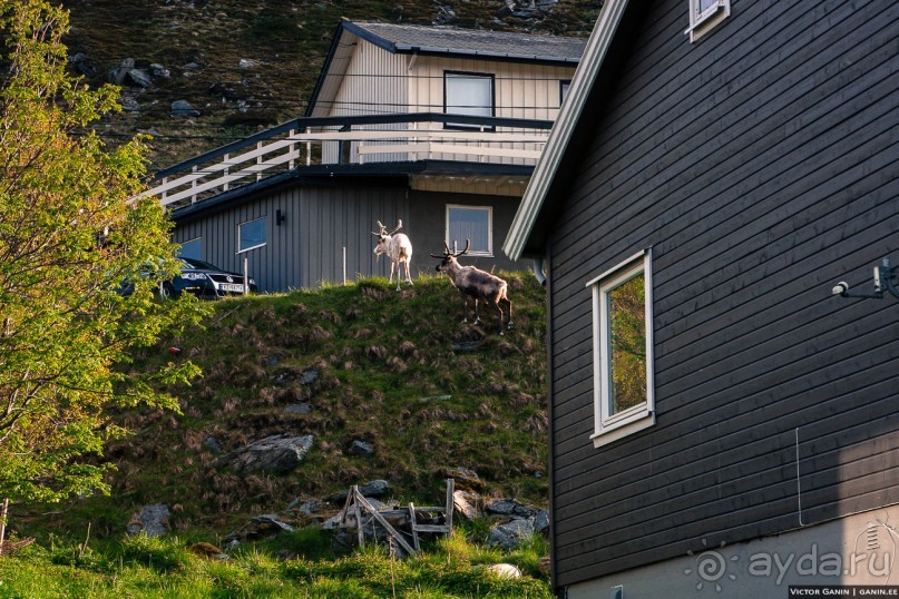 Нордкап. Самый длинный день на краю света