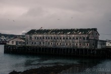 Автостопом через всю Норвегию: Вардо и мемориал в память жертв охоты на ведьм