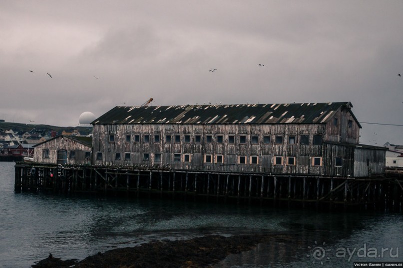 Автостопом через всю Норвегию: Вардо и мемориал в память жертв охоты на ведьм