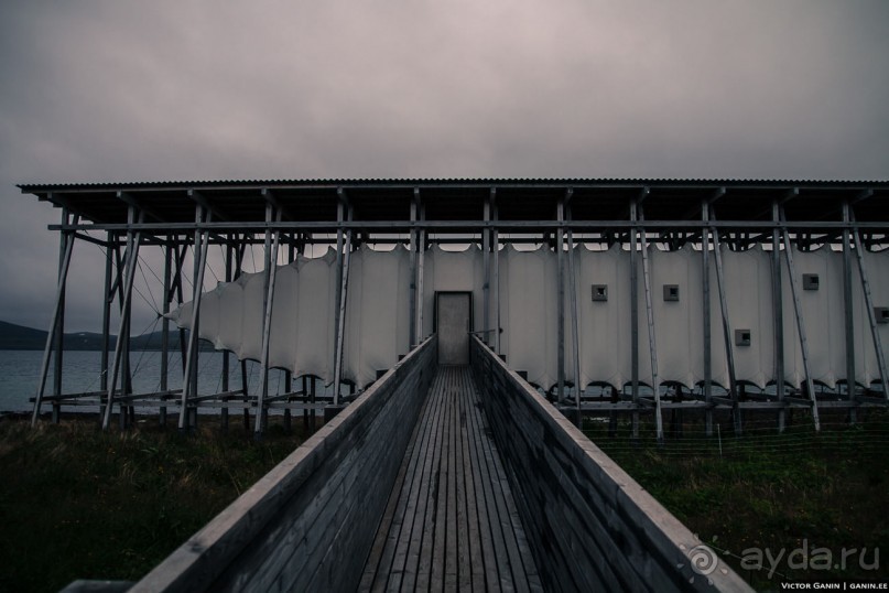 Автостопом через всю Норвегию: Вардо и мемориал в память жертв охоты на ведьм