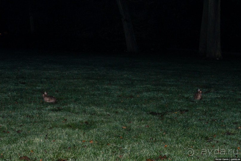 Автостопом через Европу. Амстердам и Люксембург