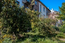 Автостопом через Европу. Амстердам и Люксембург