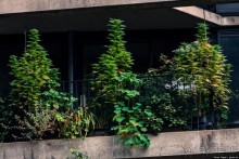 Автостопом через Европу. Амстердам и Люксембург