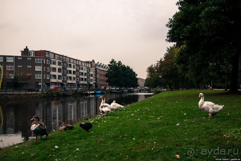 Автостопом через Европу. Амстердам и Люксембург