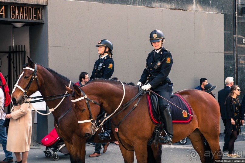 День Конституции Норвегии в Осло