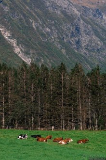 Путешествие через всю Норвегию. Часть 10. Пешком по Лестнице троллей