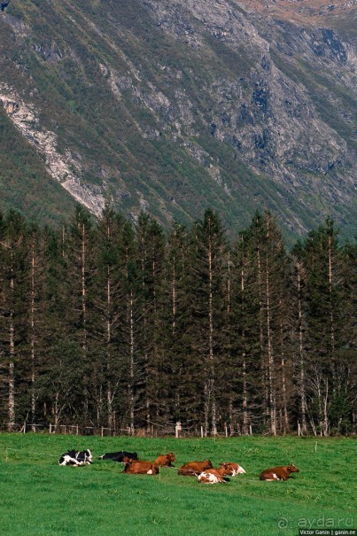 Путешествие через всю Норвегию. Часть 10. Пешком по Лестнице троллей