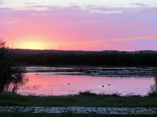 К морю Румынии