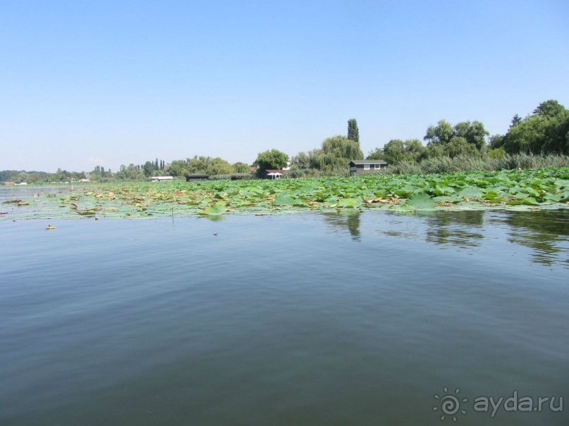 Бухарест–Снагов–Тырговиште самостоятельно