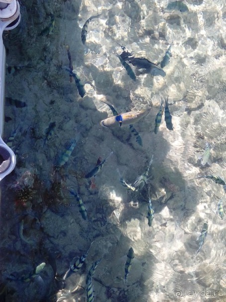 отдых супер