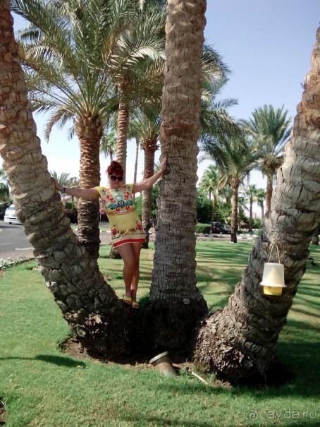 отдых супер