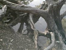 Грузия для всех