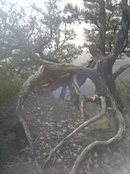 Грузия для всех