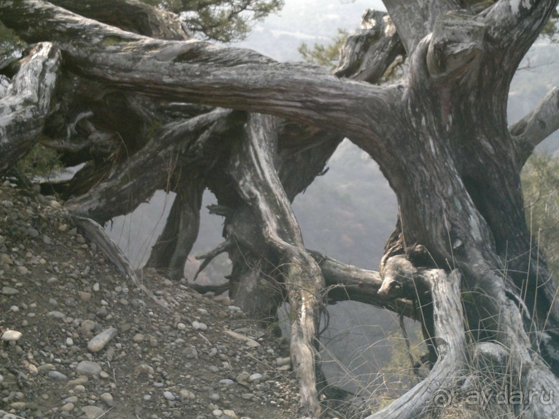 Грузия для всех