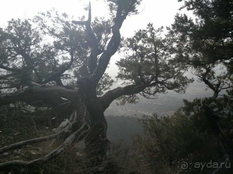 Грузия для всех