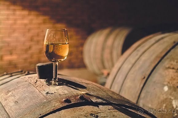 ГРУЗИЯ-РОДИНА ВИНОДЕЛИЯ