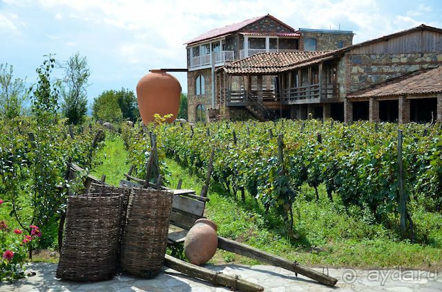 ГРУЗИЯ-РОДИНА ВИНОДЕЛИЯ