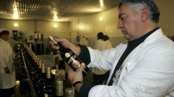 ГРУЗИЯ-РОДИНА ВИНОДЕЛИЯ