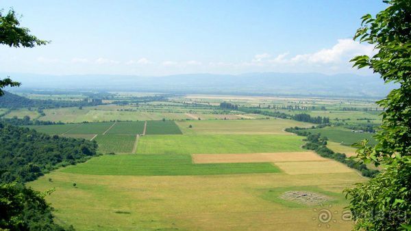 ГРУЗИЯ-РОДИНА ВИНОДЕЛИЯ