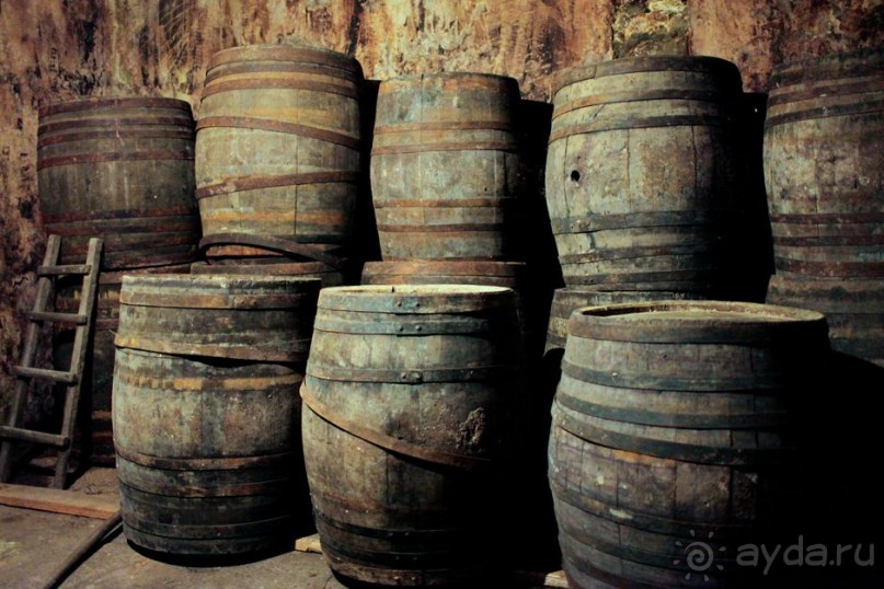 ГРУЗИЯ-РОДИНА ВИНОДЕЛИЯ