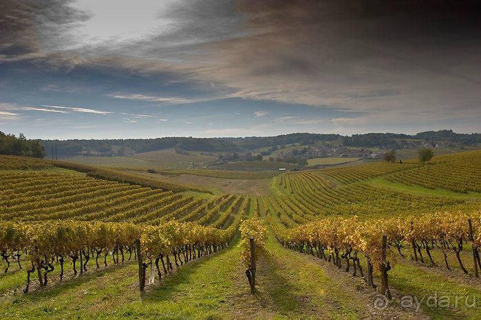 ГРУЗИЯ-РОДИНА ВИНОДЕЛИЯ