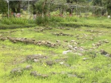 АПСАРОС-самая древняя крепость в Грузии