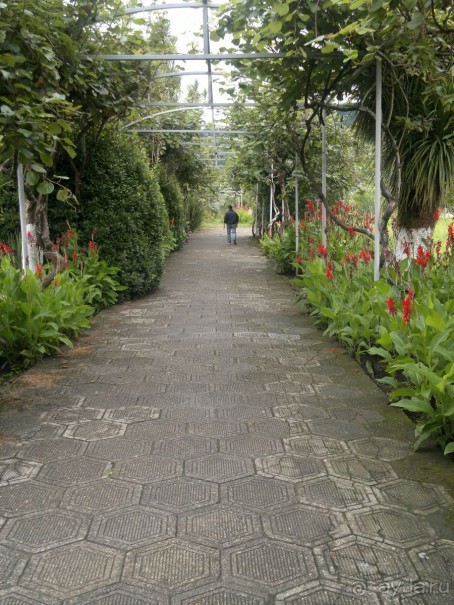 АПСАРОС-самая древняя крепость в Грузии