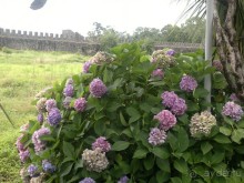 АПСАРОС-самая древняя крепость в Грузии