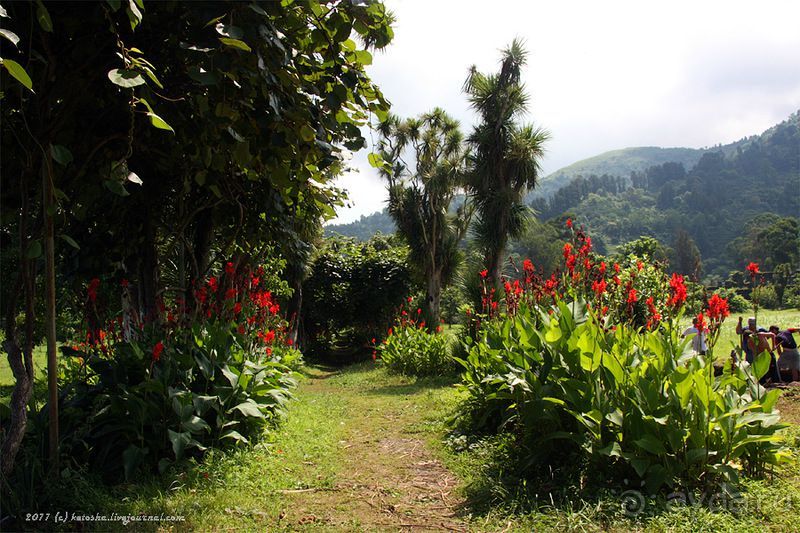 АПСАРОС-самая древняя крепость в Грузии