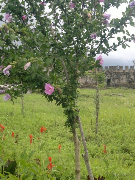 АПСАРОС-самая древняя крепость в Грузии