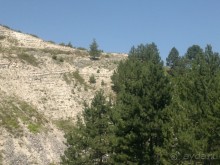 СУРАМИ-волшебный воздух гор