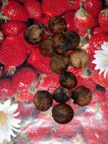 СУРАМИ-волшебный воздух гор