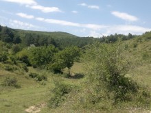 СУРАМИ-волшебный воздух гор