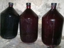 СУРАМИ-волшебный воздух гор