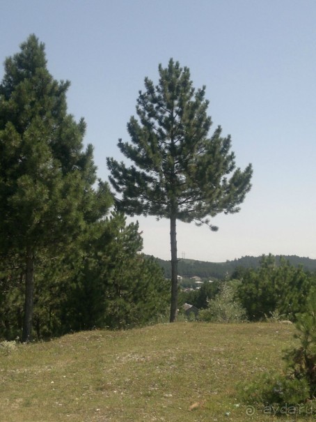 СУРАМИ-волшебный воздух гор