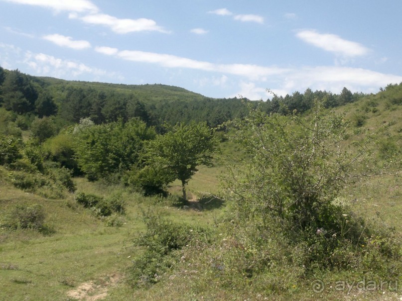 СУРАМИ-волшебный воздух гор