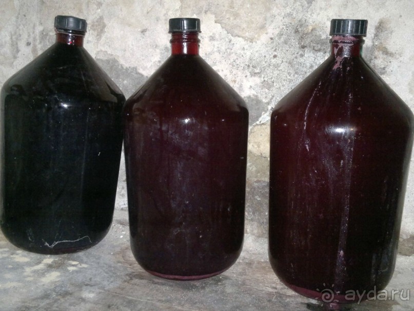 СУРАМИ-волшебный воздух гор