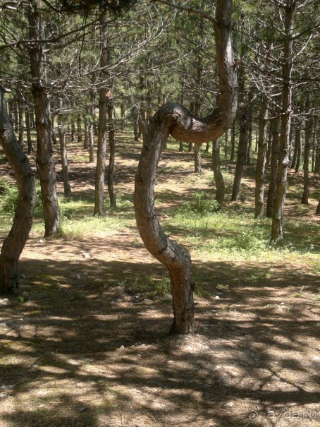 СУРАМИ-волшебный воздух гор