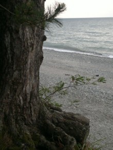 ТАКОЕ РАЗНОЕ ЧЕРНОЕ МОРЕ.ГРУЗИЯ