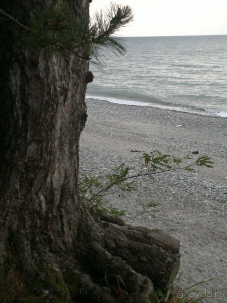 ТАКОЕ РАЗНОЕ ЧЕРНОЕ МОРЕ.ГРУЗИЯ